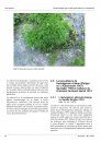 Ferrantia, Volume 80: Quelques Associations de Bryophytes sur Rochers de Grès Acides et Bois Pourrissant au Luxembourg [Some Bryophyte Associations on Acid Sandstone and Decaying Wood in Luxembourg]