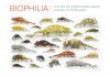 Biophilia: The Art of Christopher Marley Book of Postcards