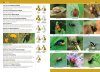 A Comprehensive Guide to Insects of Britain & Ireland