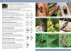 A Comprehensive Guide to Insects of Britain & Ireland