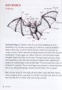 Bat Basics