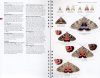 Concise Guide to the Moths of Great Britain and Ireland