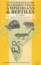 An Illustrated Guide to Common Indian Amphibians & Reptiles