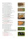 Parc National des Écrins: Liste Provisoire des Lépidoptères [Écrins National Park: Provisoric List of Lepidoptera]