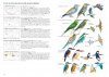 A Field Guide to the Birds of Mongolia