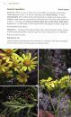 Field Guide to the Plants of the Falkland Islands