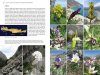 Field Guide to the Wild Flowers of the Eastern Mediterranean
