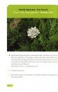 A Pocket Guide to Anglesey Coastal Flowering Plants