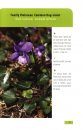 A Pocket Guide to Anglesey Coastal Flowering Plants