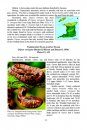 A Field Guide to the Amphibians & Reptiles of Trinidad & Tobago