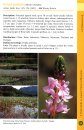 A Field Guide to Aquatic Plants of Myanmar
