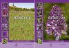 Orchideeën van de Benelux [Orchids of the Benelux] (2-Volume Set)