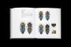 Jewel Beetles of Taiwan, Volume 1