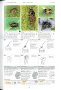 Die Wanzen Deutschlands, Teil 2: Bestimmungsschlüssel für alle Arten [The Bugs of Germany, Volume 2: Identification Keys for all Species]