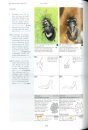 Die Wanzen Deutschlands, Teil 2: Bestimmungsschlüssel für alle Arten [The Bugs of Germany, Volume 2: Identification Keys for all Species]