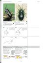 Die Wanzen Deutschlands, Teil 2: Bestimmungsschlüssel für alle Arten [The Bugs of Germany, Volume 2: Identification Keys for all Species]