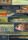 A Naturalist’s Guide to the Fishes of Ohio