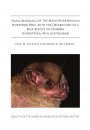 Small Mammals of the Mayo River Basin in Northern Peru, with the Description of a new Species of Sturnira (Chiroptera, Phyllostomidae)