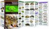 Texas Reptiles & Amphibians