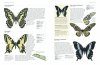 The World Encyclopedia of Butterflies & Moths