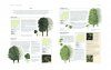 The World Encyclopedia of Trees