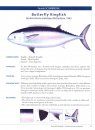 Tunas and Billfishes of the World