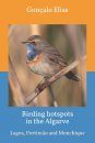 Birding Hotspots in the Algarve: Lagoa, Portimão and Monchique