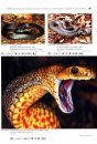 Venomous Snakes of Australia and Oceania / Giftschlangen Australiens und Ozeaniens