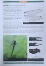 Dragonflies and Damselflies of China (2-Volume Set) [English / Chinese]