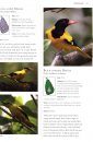 A Photographic Field Guide to the Birds of Sri Lanka