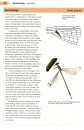 A Guide to the Dragonflies & Damselflies of South Africa
