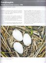Magyarország Fészkelő Madarainak Költésbiológiája [Breeding Biology of Hungarian Nesting Birds] (2-Volume Set)