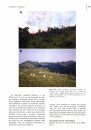 The Terrestrial Protected Areas of Madagascar: Their History, Description, and Biota / Les Aires protégées Terrestres de Magagascar: Leur Histoire, Description et Biote (3-Volume Set)