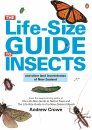 The Life-Size Guide to Insects
