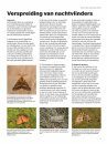 Het Nachtvlinderboek: Macronachtvlinders van Nederland en België, Inclusief Rupsen [The Book of Moths: Nocturnal Macro-Moths of the Netherlands and Belgium, Including Caterpillars]