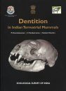 Dentition in Indian Terrestrial Mammals