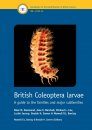 British Coleoptera Larvae