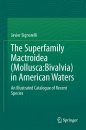 The Superfamily Mactroidea (Mollusca: Bivalvia) in American Waters