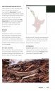 Reptiles & Amphibians of New Zealand
