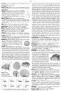 Dizionario Illustrato dei Funghi [Illustrated Dictionary of Fungi]