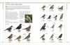 RSPB Complete Birds of Britain and Europe