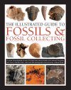 The Illustrated Guide to Fossils & Fossil Collecting