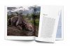 The Wildlife Photographer of the Year: Unforgettable Photojournalism