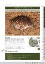A Bilingual Field Guide to the Frogs of Zululand / Isiqondiso Sasefilidini Sezilimi Ezimbili Ngamaxoxo AkwelaKwaZulu