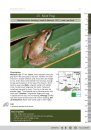 A Bilingual Field Guide to the Frogs of Zululand / Isiqondiso Sasefilidini Sezilimi Ezimbili Ngamaxoxo AkwelaKwaZulu