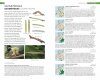 Field Guide to the Caterpillars of Great Britain and Ireland