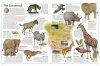 The Animal Atlas