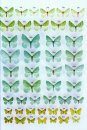 The Geometrid Moths of Europe (6-Volume Set)