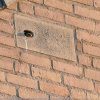 Woodstone® Build-in Swift Nest Box Deep