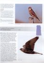 Birds of Saskatchewan